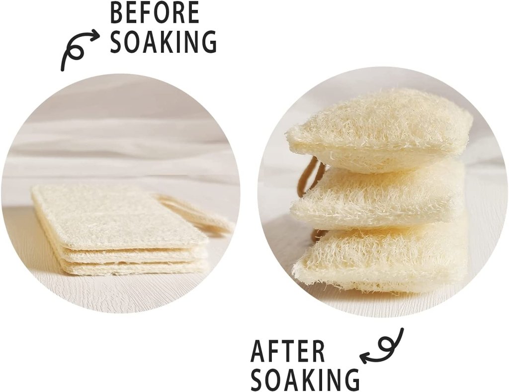 Natural Loofah Dish Sponges - 6 Pack